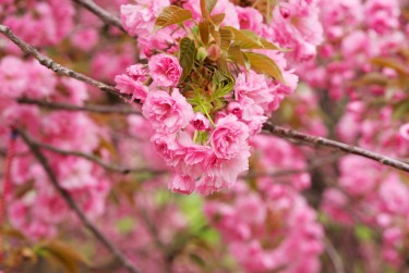 金华金东区2线下个人借款平台一站式服务，轻松解决资金难题