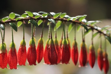 金华金东区2零用贷短借：轻松解决临时资金需求